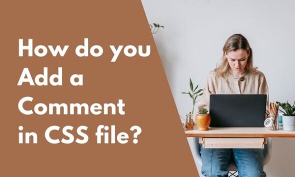 How do you Add a Comment in a CSS file? - Life in Coding