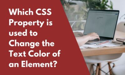 Which CSS property is used to change the text color of an element