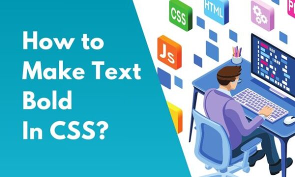 css-how-to-make-text-bold-life-in-coding